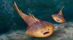 中国发现4.38亿年前“混血”鱼化石 为古地理联结添新证